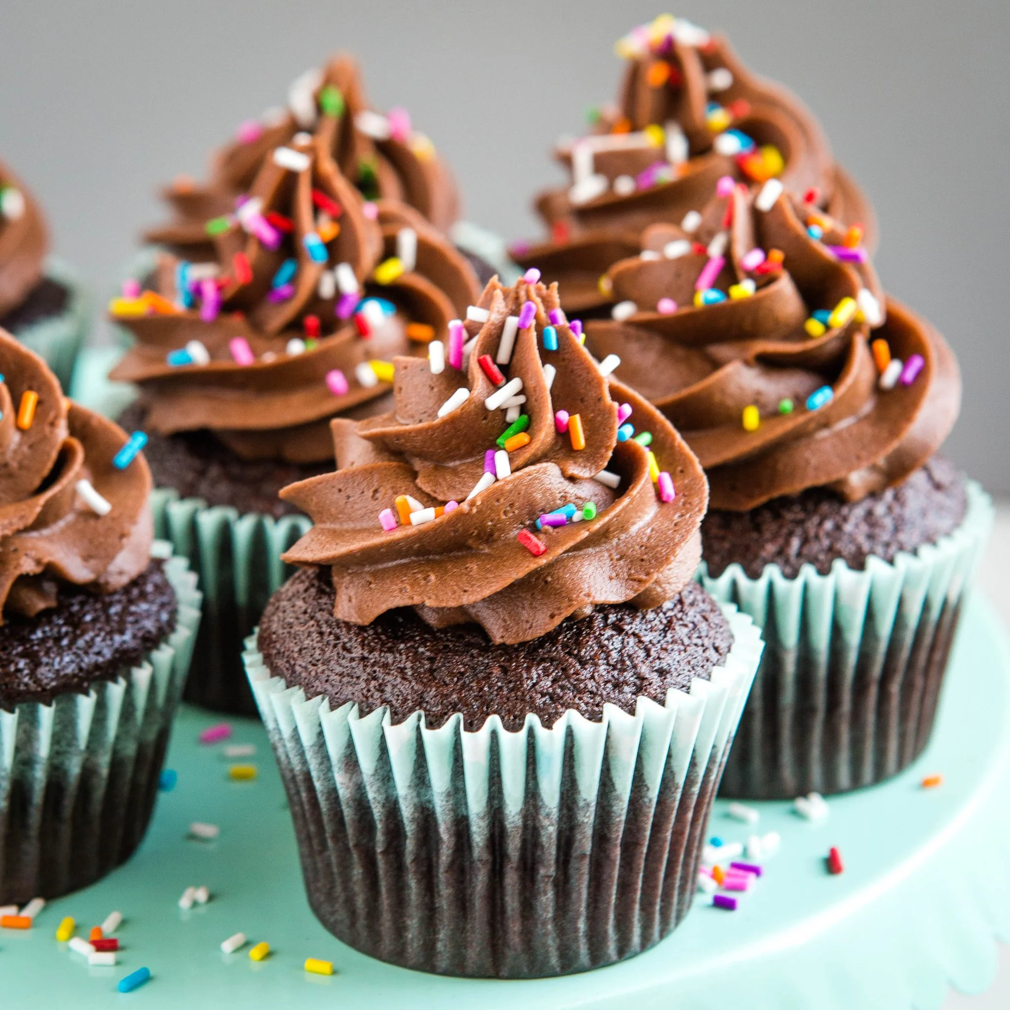 Chocolate Cupcake